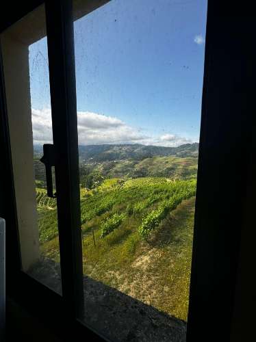Quinta de Charme no Coração do Douro – Uma Oportunidade Única
