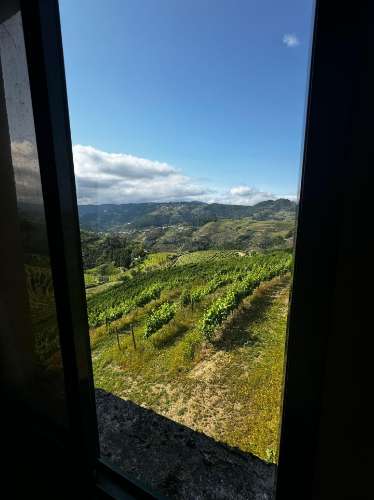 Quinta de Charme no Coração do Douro – Uma Oportunidade Única