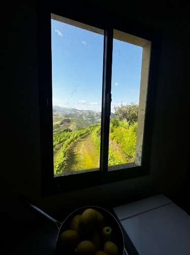 Quinta de Charme no Coração do Douro – Uma Oportunidade Única