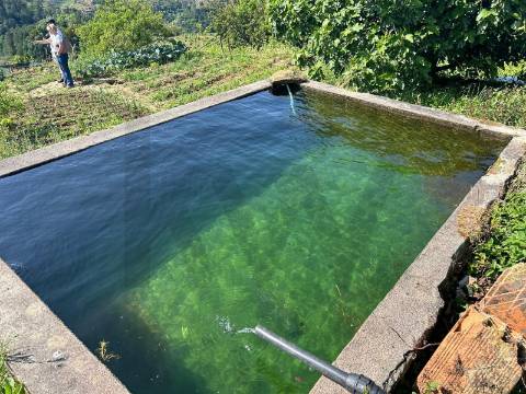 Quinta de Charme no Coração do Douro – Uma Oportunidade Única