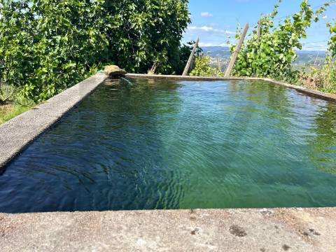 Quinta de Charme no Coração do Douro – Uma Oportunidade Única