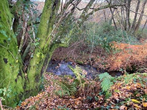 Moradia com Terreno para turismo Rural