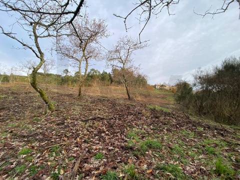 Moradia com Terreno para turismo Rural