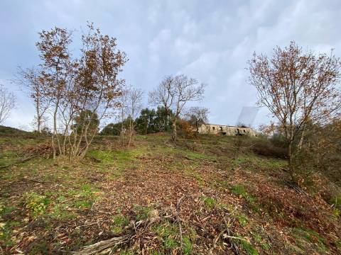 Moradia com Terreno para turismo Rural