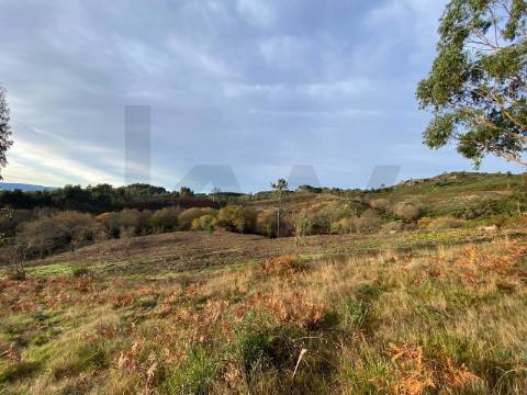 Moradia com Terreno para turismo Rural