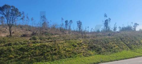 Terreno com Grande Potencial – 45.000m² Braga – Freguesia de Algeriz e Santa Lucrécia
