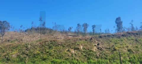 Terreno com Grande Potencial – 45.000m² Braga – Freguesia de Algeriz e Santa Lucrécia