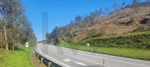 Terreno com Grande Potencial – 45.000m² Braga – Freguesia de Algeriz e Santa Lucrécia