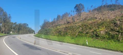 Terreno com Grande Potencial – 45.000m² Braga – Freguesia de Algeriz e Santa Lucrécia