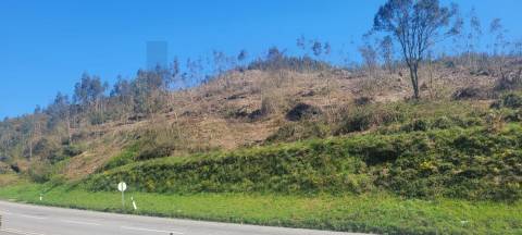 Terreno com Grande Potencial – 45.000m² Braga – Freguesia de Algeriz e Santa Lucrécia