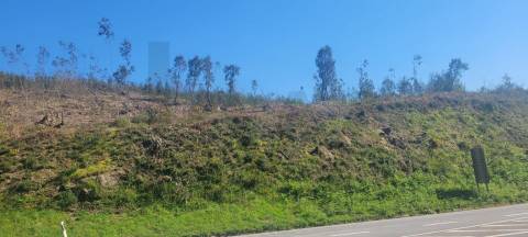 Terreno com Grande Potencial – 45.000m² Braga – Freguesia de Algeriz e Santa Lucrécia