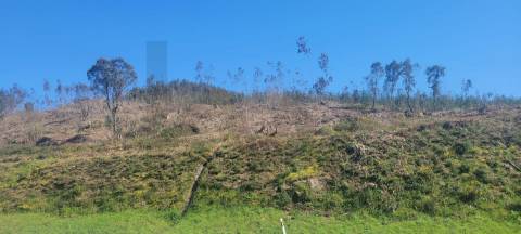 Terreno com Grande Potencial – 45.000m² Braga – Freguesia de Algeriz e Santa Lucrécia