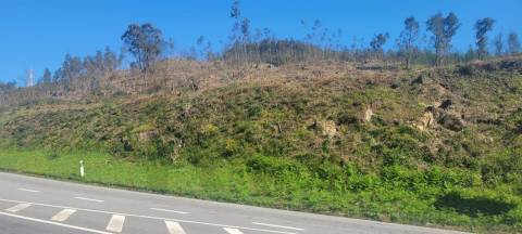 Terreno com Grande Potencial – 45.000m² Braga – Freguesia de Algeriz e Santa Lucrécia