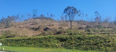 Terreno com Grande Potencial – 45.000m² Braga – Freguesia de Algeriz e Santa Lucrécia