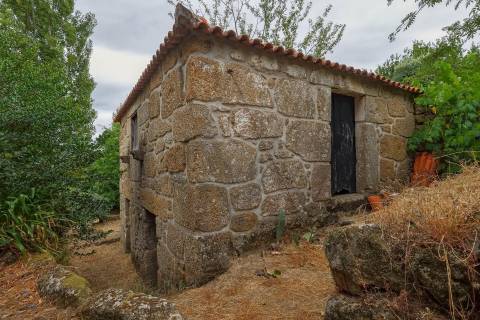 Quintinha com Duas Casas Centenárias em Pedra 