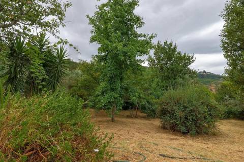 Quintinha com Duas Casas Centenárias em Pedra 