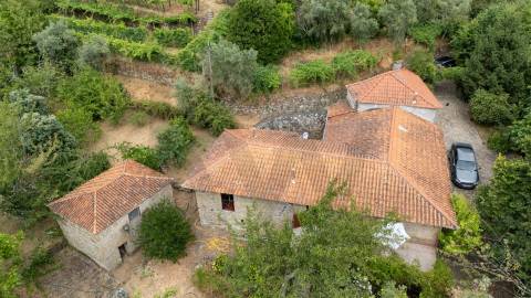 Quintinha com Duas Casas Centenárias em Pedra 