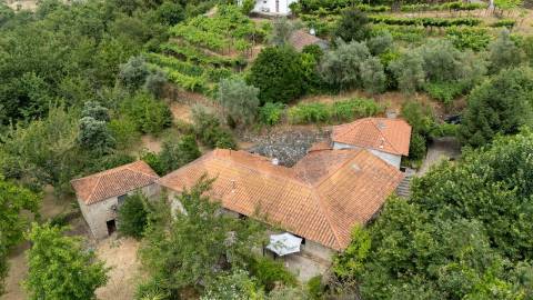 Quintinha com Duas Casas Centenárias em Pedra 