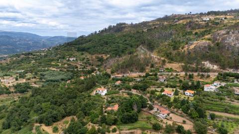 Quintinha com Duas Casas Centenárias em Pedra 