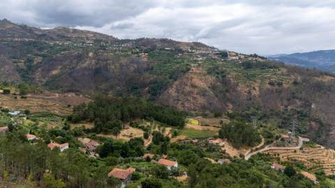 Quintinha com Duas Casas Centenárias em Pedra 