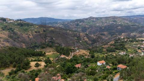 Quintinha com Duas Casas Centenárias em Pedra 