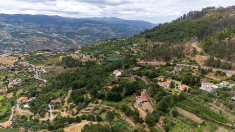 Quintinha com Duas Casas Centenárias em Pedra 