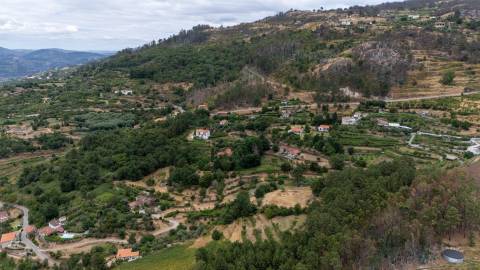 Quintinha com Duas Casas Centenárias em Pedra 
