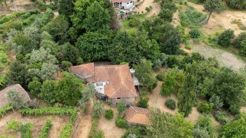 Quintinha com Duas Casas Centenárias em Pedra 