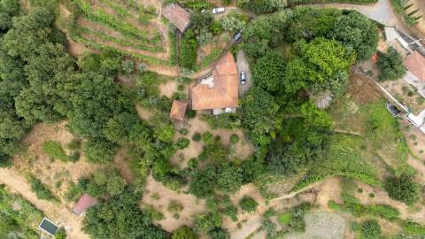 Quintinha com Duas Casas Centenárias em Pedra 
