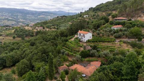 Quintinha com Duas Casas Centenárias em Pedra 