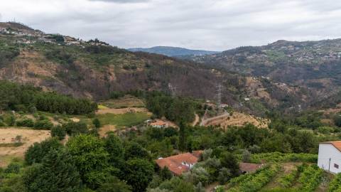 Quintinha com Duas Casas Centenárias em Pedra 