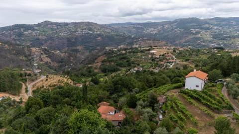 Quintinha com Duas Casas Centenárias em Pedra 