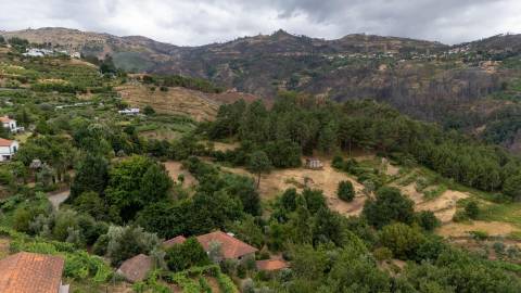 Quintinha com Duas Casas Centenárias em Pedra 