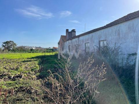 MORADIA T3 EM NARIZ (AVEIRO)