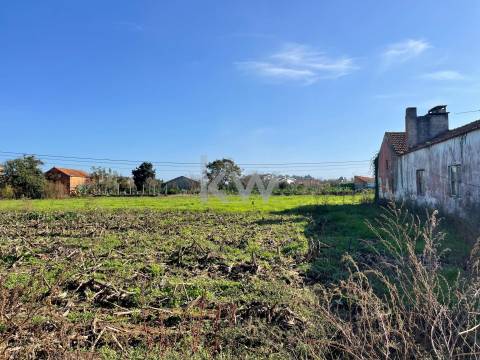 MORADIA T3 EM NARIZ (AVEIRO)