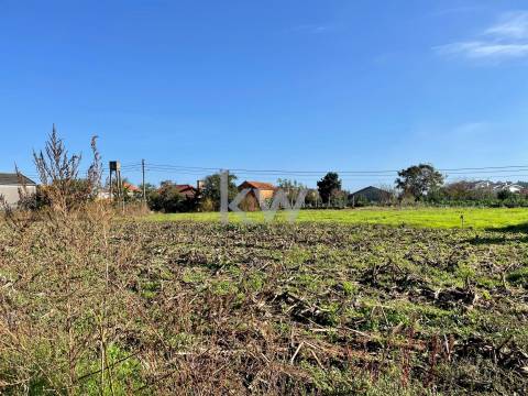 MORADIA T3 EM NARIZ (AVEIRO)