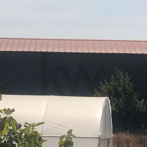Quinta Agrícola em produção de Figos 