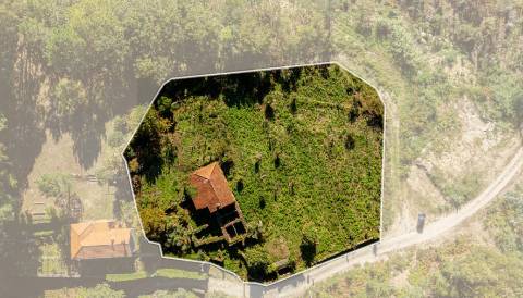 Quinta com Moradia T3 em Pedra para restauro com 2.814m² de Terreno – Covas, V.N. Cerveira