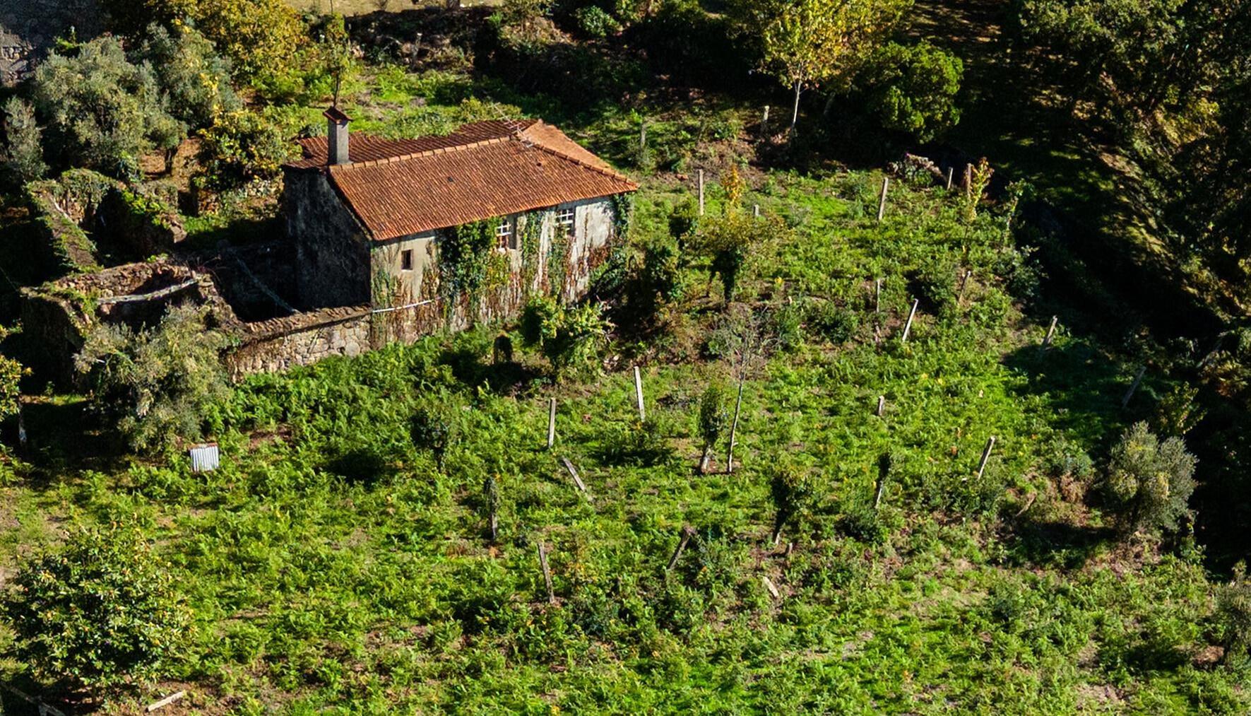 Quinta com Moradia T3 em Pedra para restauro com 2.814m² de Terreno – Covas, V.N. Cerveira