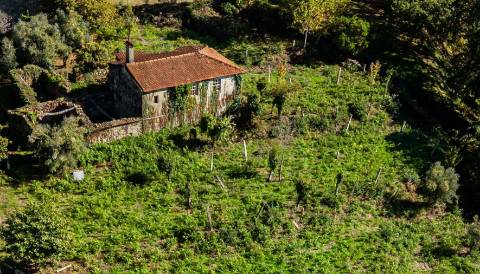 Quinta com Moradia T3 em Pedra para restauro com 2.814m² de Terreno – Covas, V.N. Cerveira