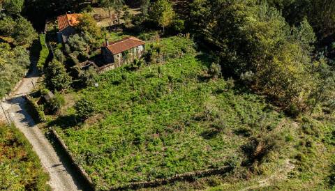 Quinta com Moradia T3 em Pedra para restauro com 2.814m² de Terreno – Covas, V.N. Cerveira