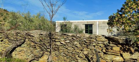 Quinta Vitivinícola de 5 Hectares  - Douro Superior