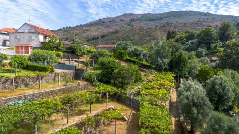 Terreno urbano com garagem e viabilidade de construção em Montaria, Viana do Castelo