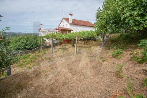 Terreno urbano com garagem e viabilidade de construção em Montaria, Viana do Castelo