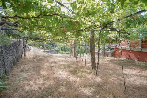 Terreno urbano com garagem e viabilidade de construção em Montaria, Viana do Castelo