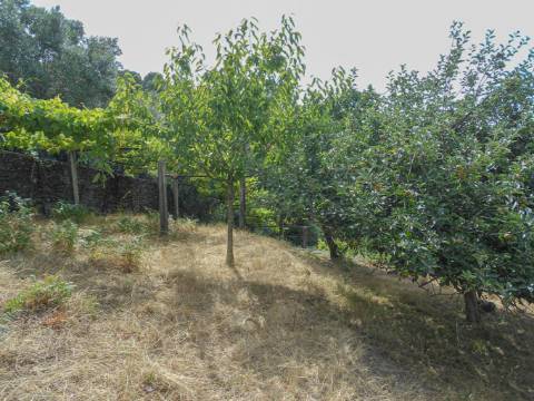 Terreno urbano com garagem e viabilidade de construção em Montaria, Viana do Castelo