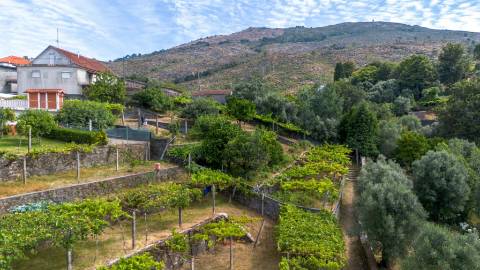 Terreno urbano com garagem e viabilidade de construção em Montaria, Viana do Castelo