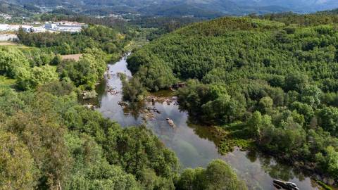 Terreno em Venda - Oportunidade Única em Braga 