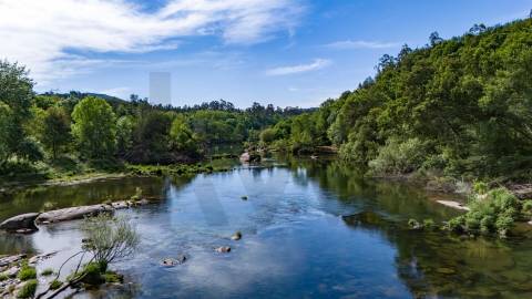 Terreno em Venda - Oportunidade Única em Braga 