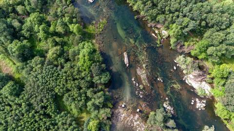 Terreno em Venda - Oportunidade Única em Braga 